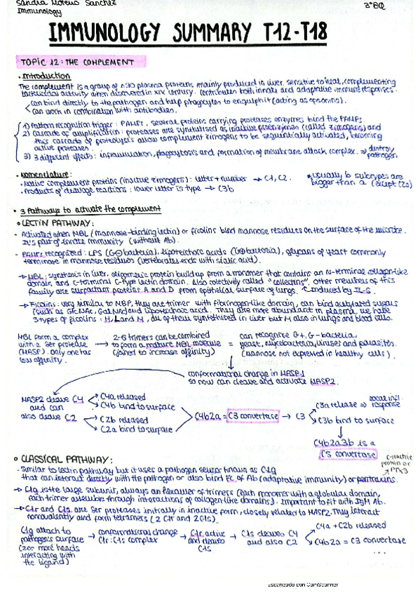 Miniatura del documento IM-summary-T12-18.pdf