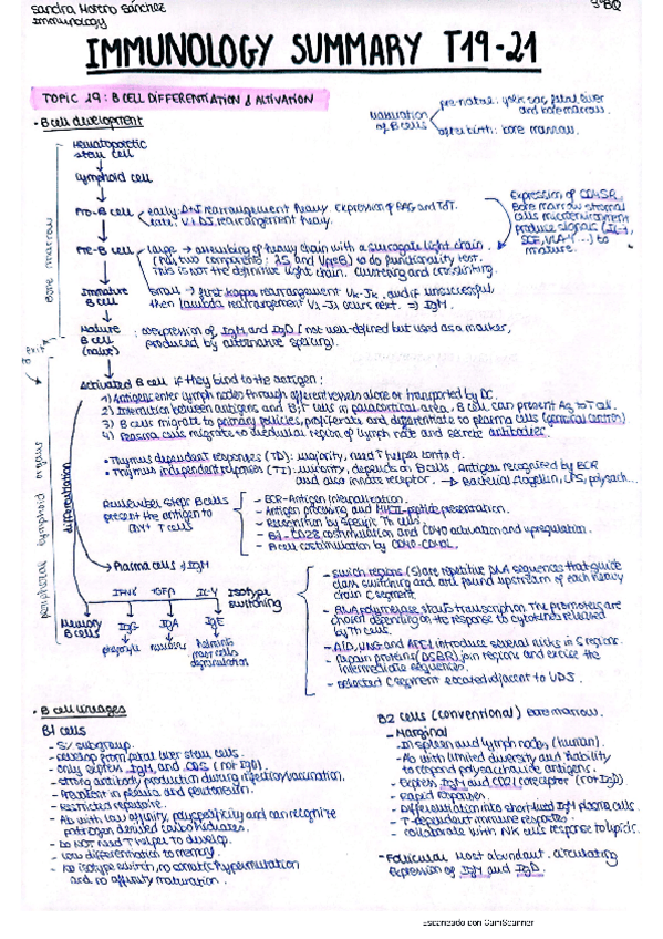 Miniatura del documento IM-summary-T19-21.pdf