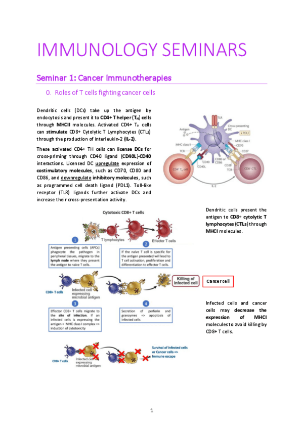 Miniatura del documento IM-seminaris.pdf