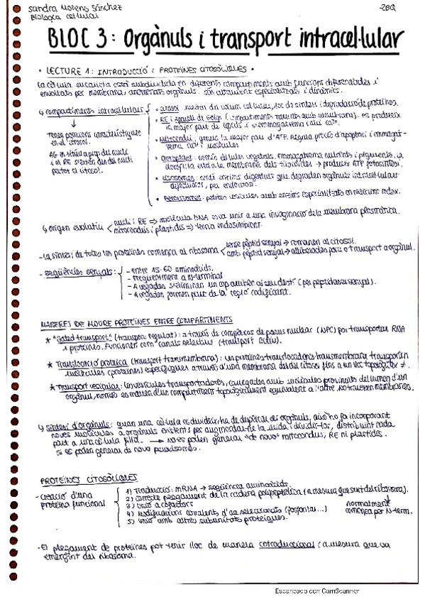 Miniatura del documento Biocel-resum-BLOC-3.pdf