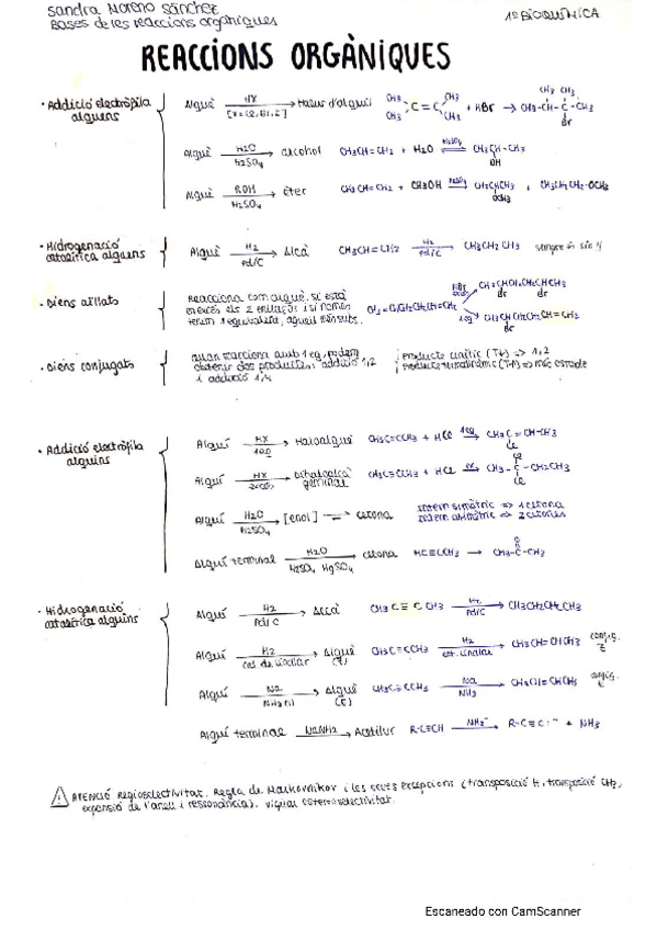 Miniatura del documento BRO-resum-reaccions.pdf