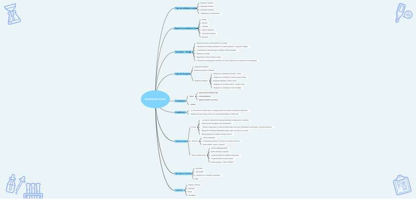 Miniatura del documento Senalizacion-Celular.pdf