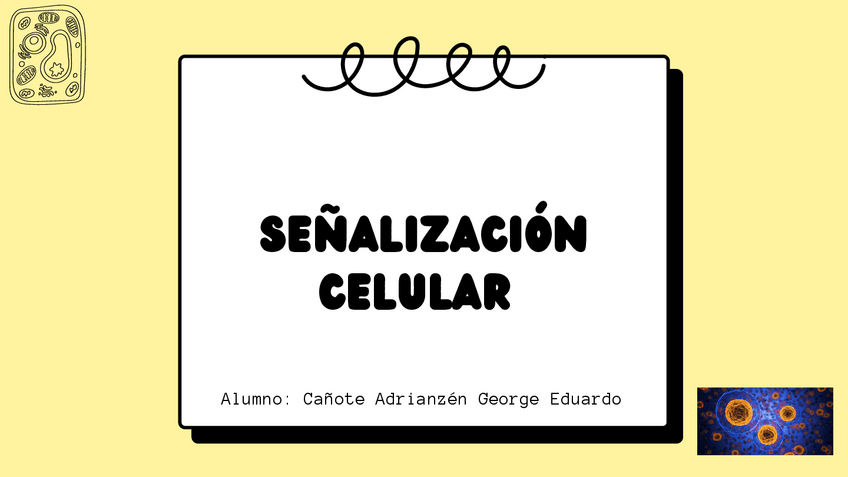 Miniatura del documento Senalizacion-celular-1.pdf