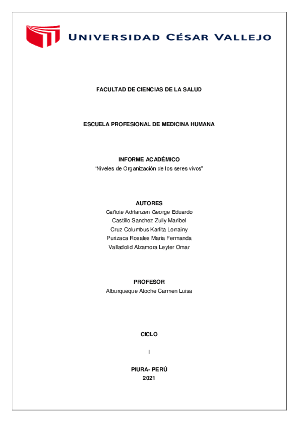 Miniatura del documento NIVELES-DE-ORGANIZACION-GRUPO-3-.pdf