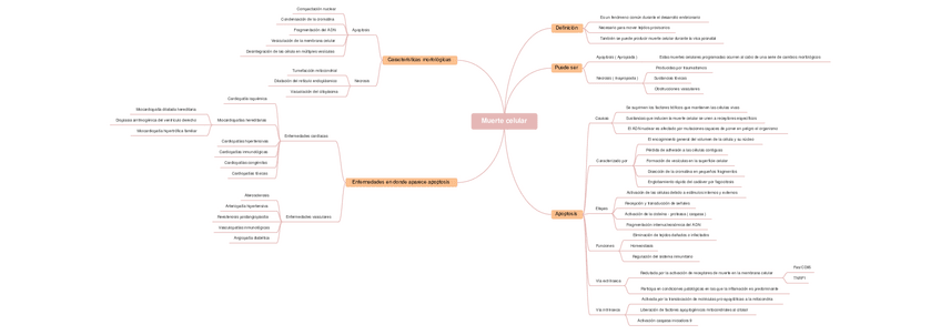 Miniatura del documento Muerte-celular.pdf