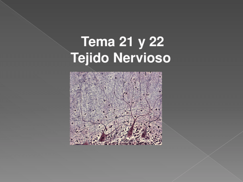 Miniatura del documento Tema21y22Tejidonervioso.pdf