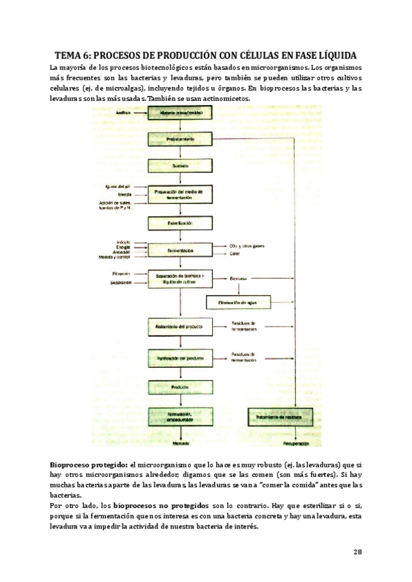Miniatura del documento TEMA-6-PROCESOS-INDUSTRIALES-BIOTECNOLOGICOS.pdf