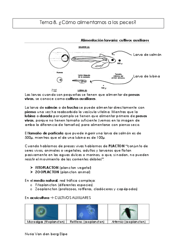 Miniatura del documento Acui-Produccion-T8.pdf