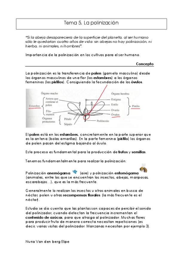 Miniatura del documento Api-produccion-T5.pdf
