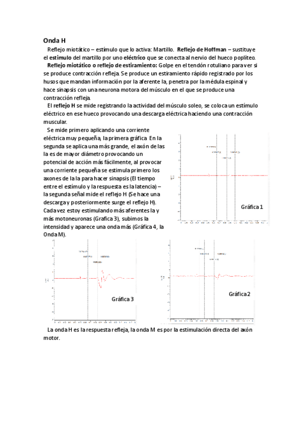 Miniatura del documento Practica-reflejo-H.pdf