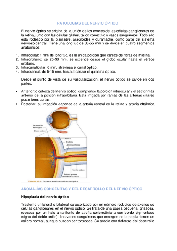 Miniatura del documento Patologia-nervio-optico-I.pdf