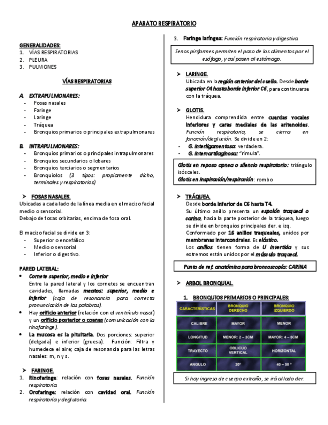 Miniatura del documento APARATO-RESPIRATORIO-I.pdf