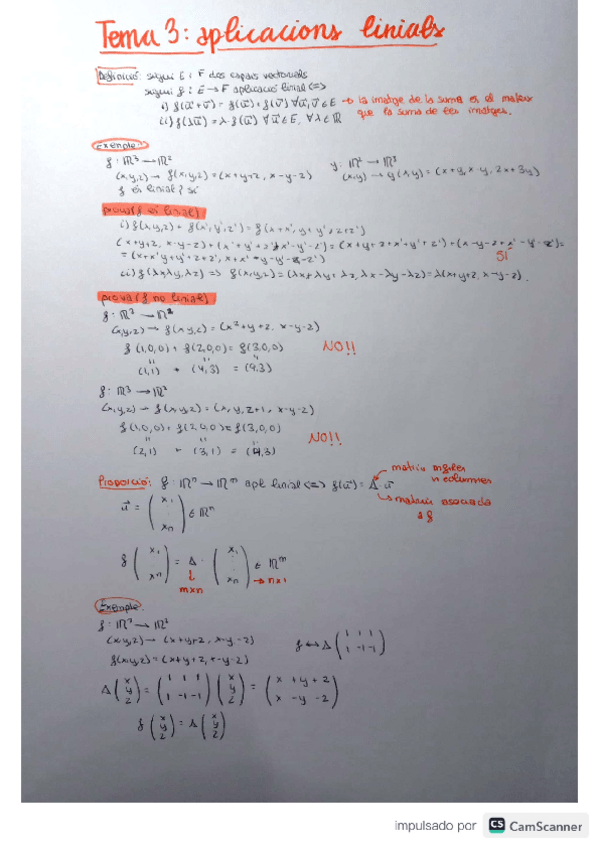 Miniatura del documento MATES-aplicacions-linials.pdf