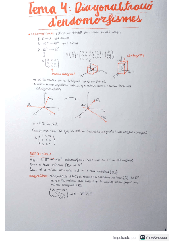 Miniatura del documento mates-diagonalitzacio.pdf