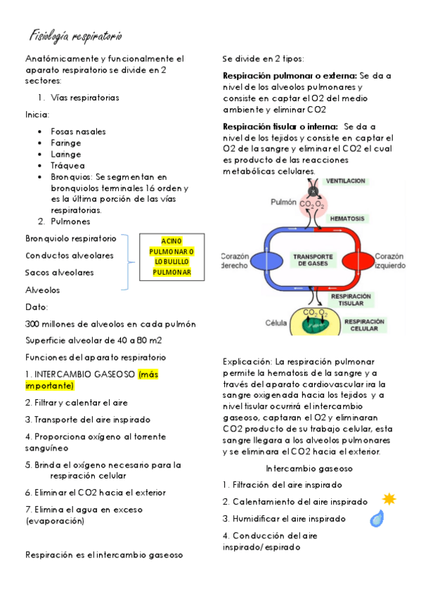 Miniatura del documento APARATO-RESPIRATORIO-III.pdf