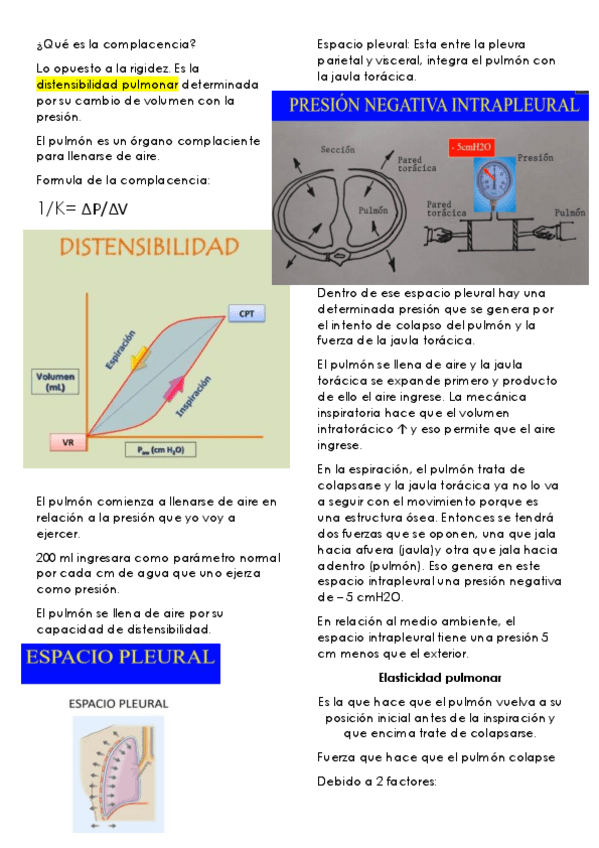 Miniatura del documento APARATO-RESPIRATORIO-IV.pdf
