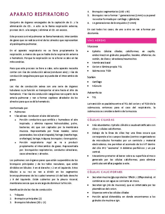 Miniatura del documento APARATO-RESPIRATORIO-V.pdf
