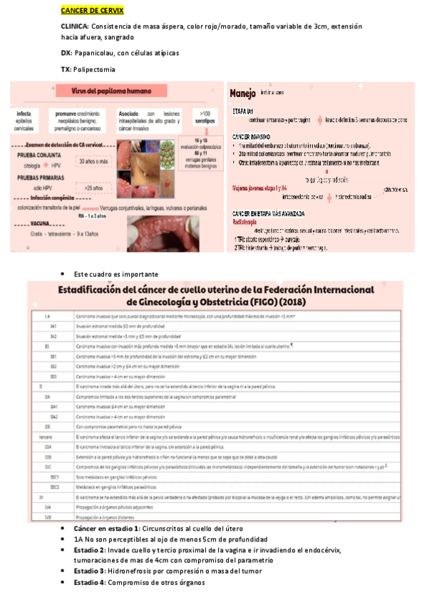 Miniatura del documento CANCER-DE-CERVIX-I.pdf