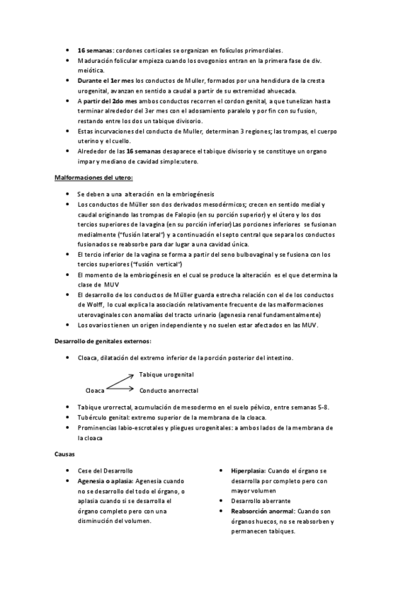 Miniatura del documento GINECOLOGIA-V.pdf