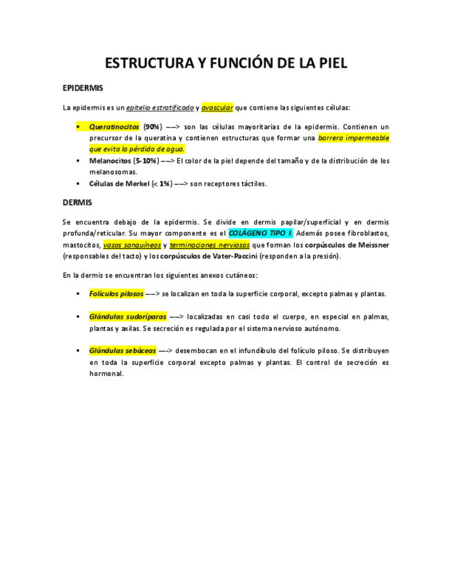 Miniatura del documento ESTRUCTURA-Y-FUNCION-DE-LA-PIEL.pdf