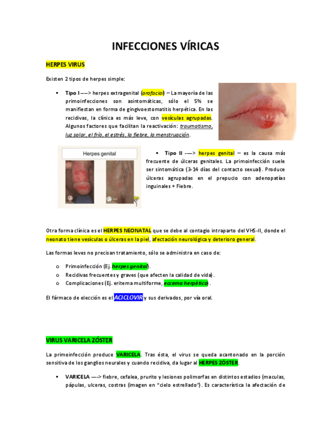 Miniatura del documento NFECCIONES-VIRICAS.pdf
