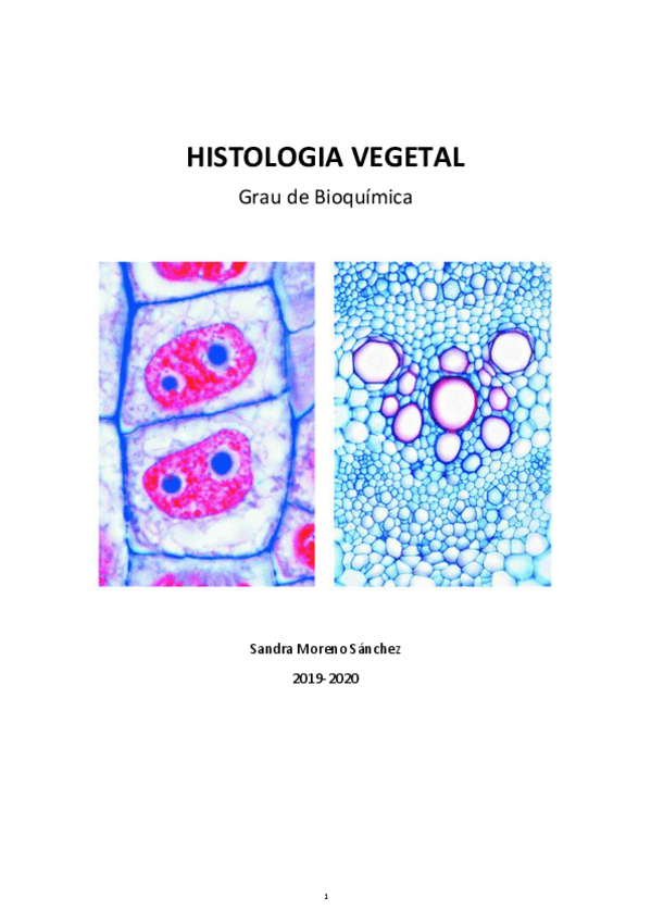 Miniatura del documento APUNTS-HISTOLOGIA-VEGETAL-2020.pdf