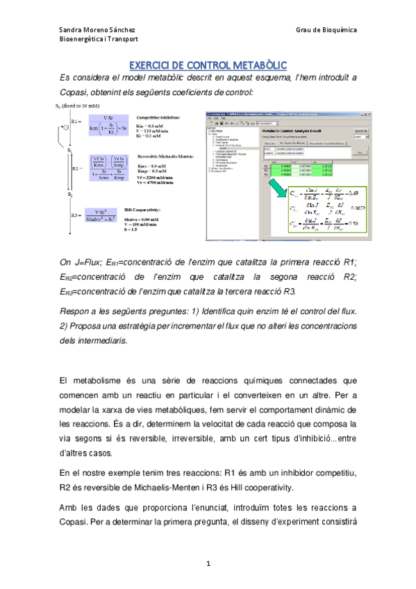 Miniatura del documento BiT-practica-4.pdf