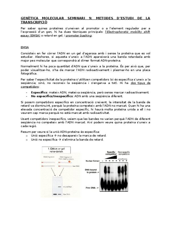 Miniatura del documento Genmol-seminari-9-apunts.docx