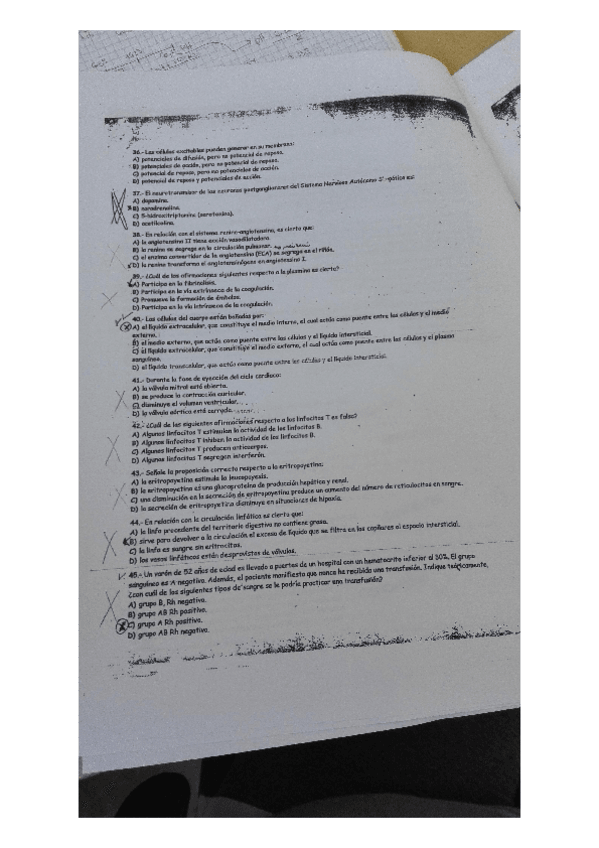 Miniatura del documento preguntas.pdf