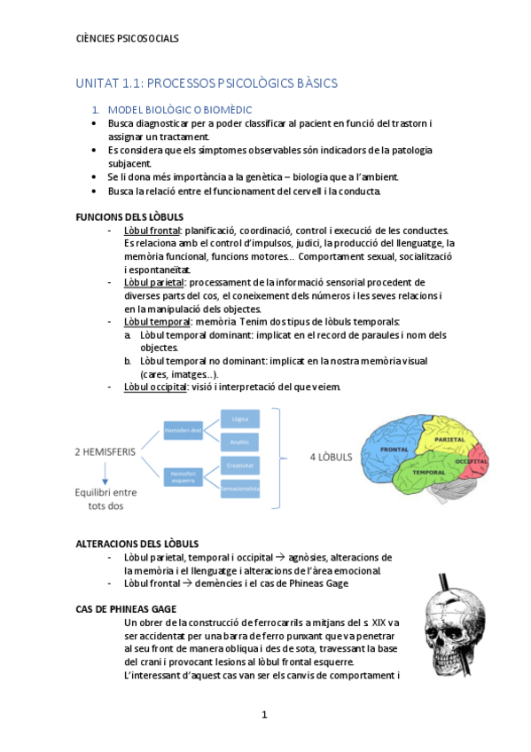 Miniatura del documento UNITAT-1.pdf