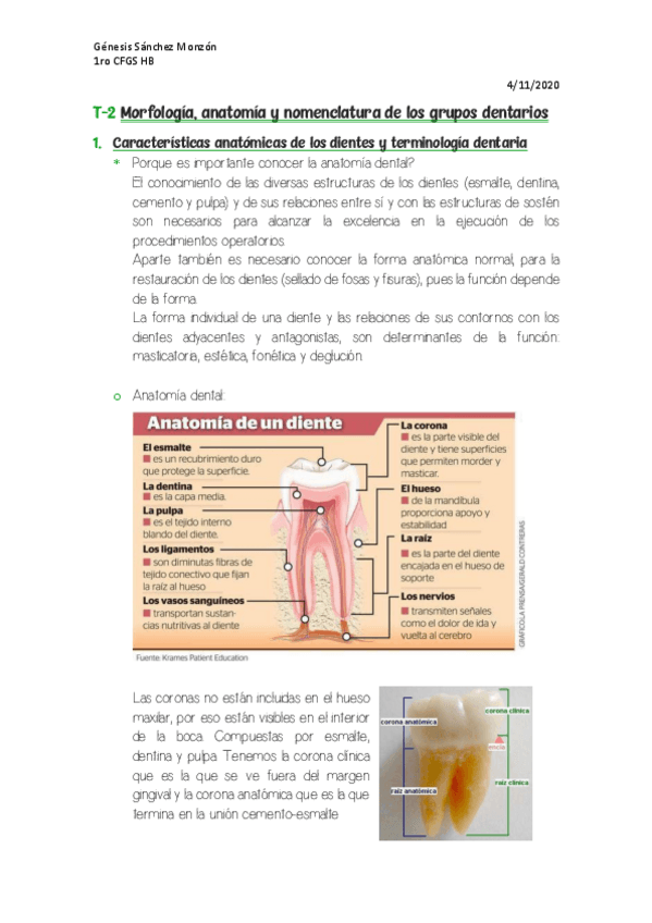 Miniatura del documento T-2-Morfologiaanatomia-y-nomenclatura-de-los-grupos-dentarios.pdf