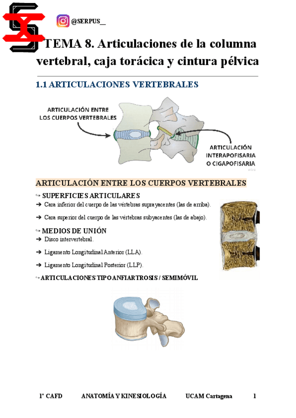 Miniatura del documento TEMA-8-Anatomia-y-Kinesiologia.pdf