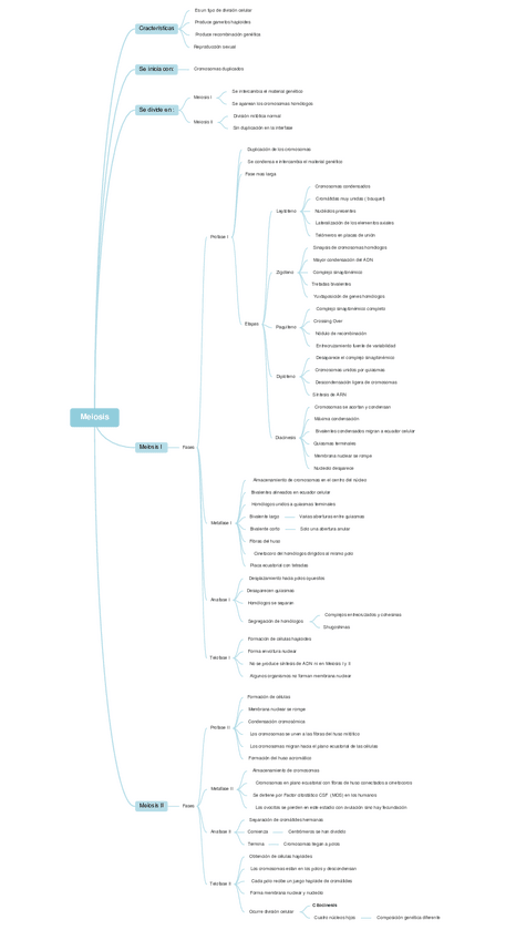 Miniatura del documento Meiosis.pdf