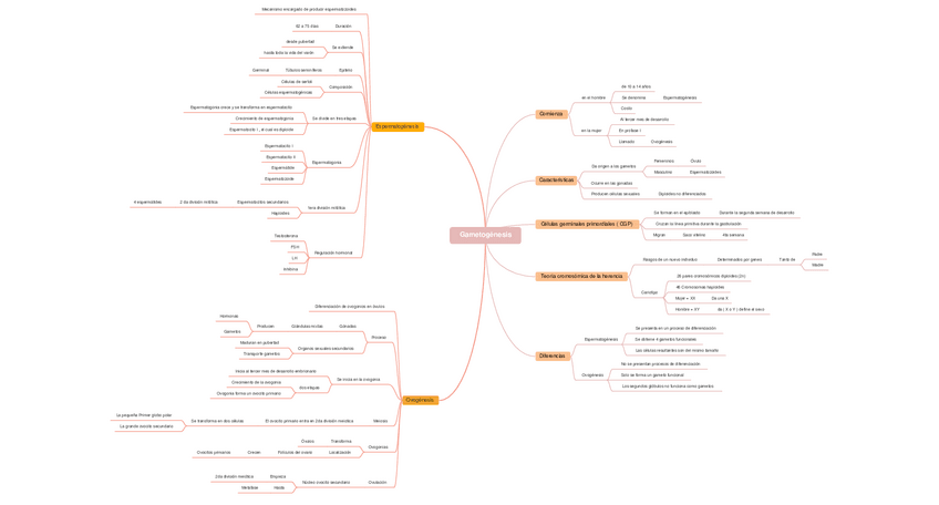Miniatura del documento Gametogenesis.pdf