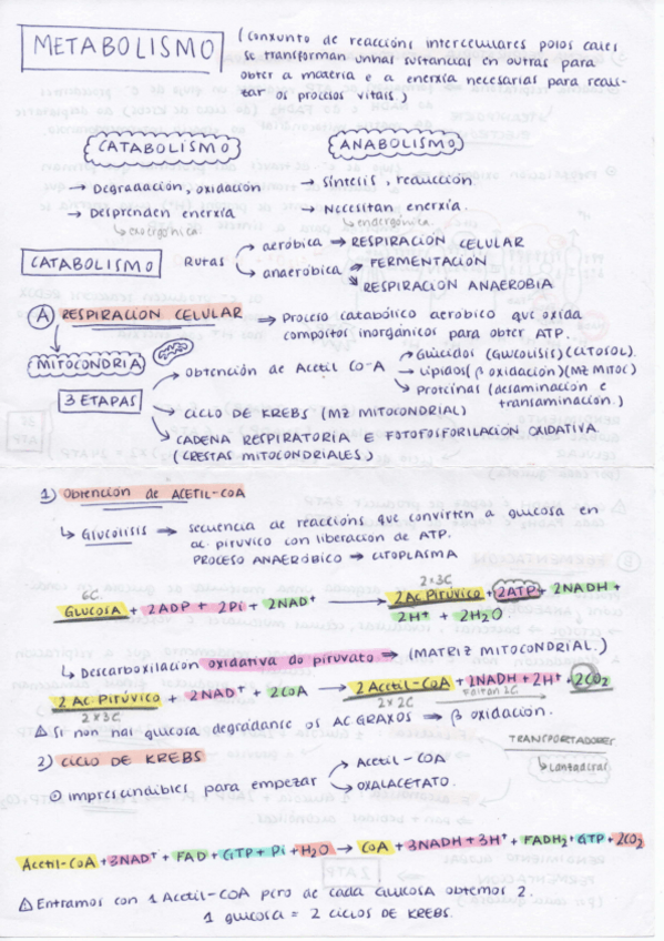 Miniatura del documento Resumen-2-Biologia-2o-Bachiller.pdf