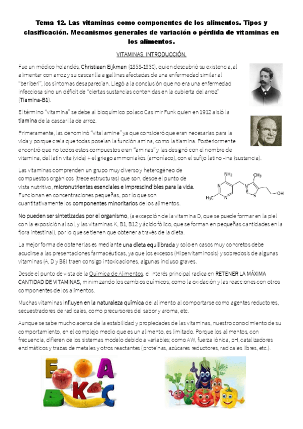 Miniatura del documento T12.pdf