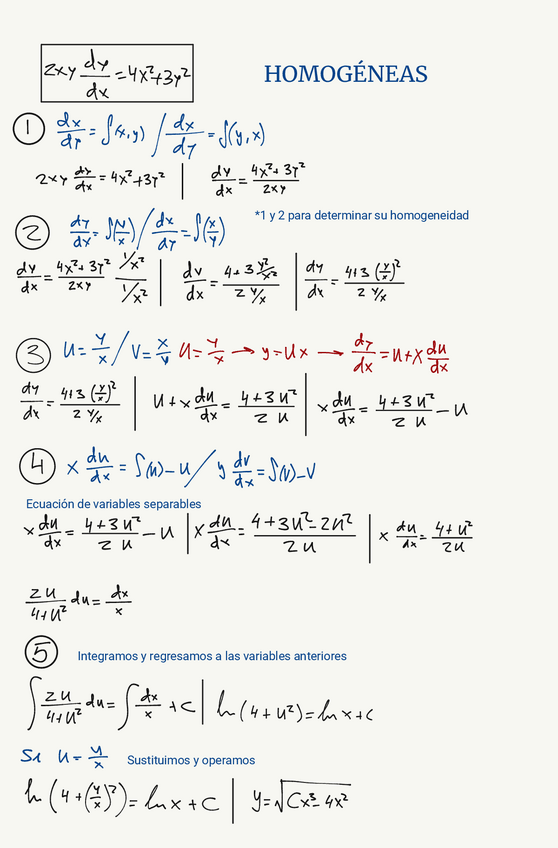 Miniatura del documento homogenea-2.pdf
