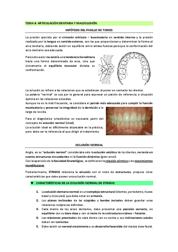 Miniatura del documento Tema-4-ORTODONCIA.pdf