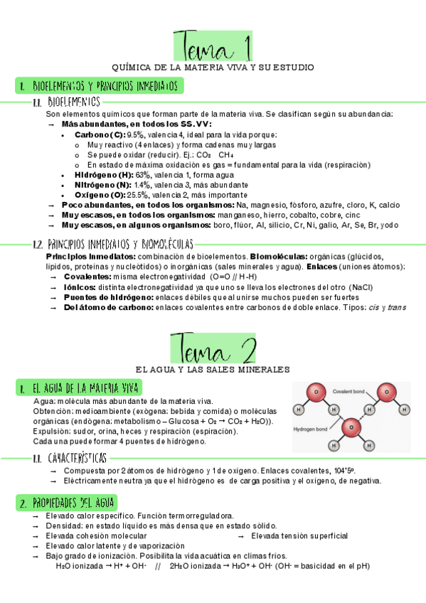 Miniatura del documento Examen-1.pdf