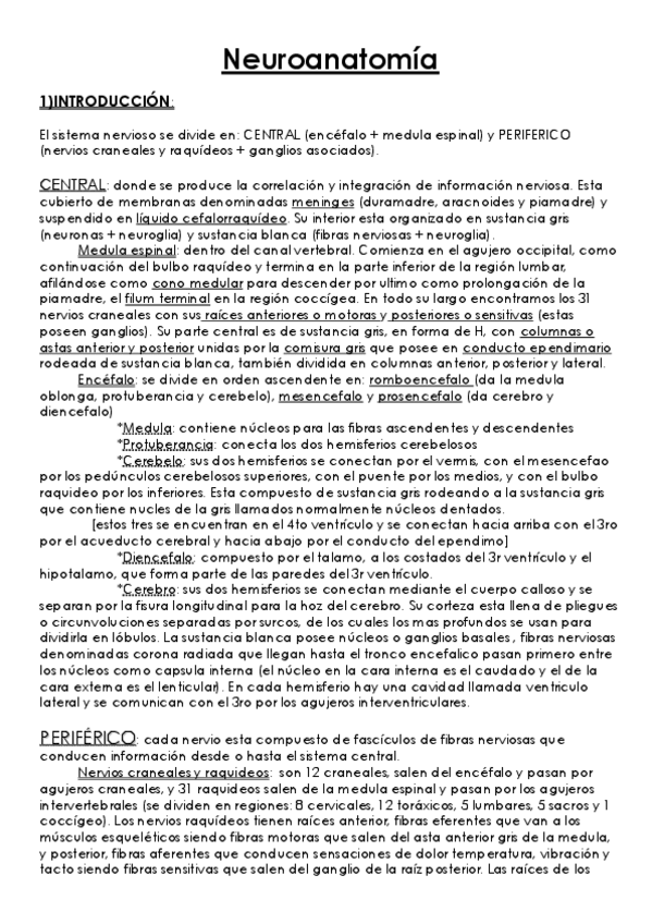 Miniatura del documento Neuroanatomia.pdf
