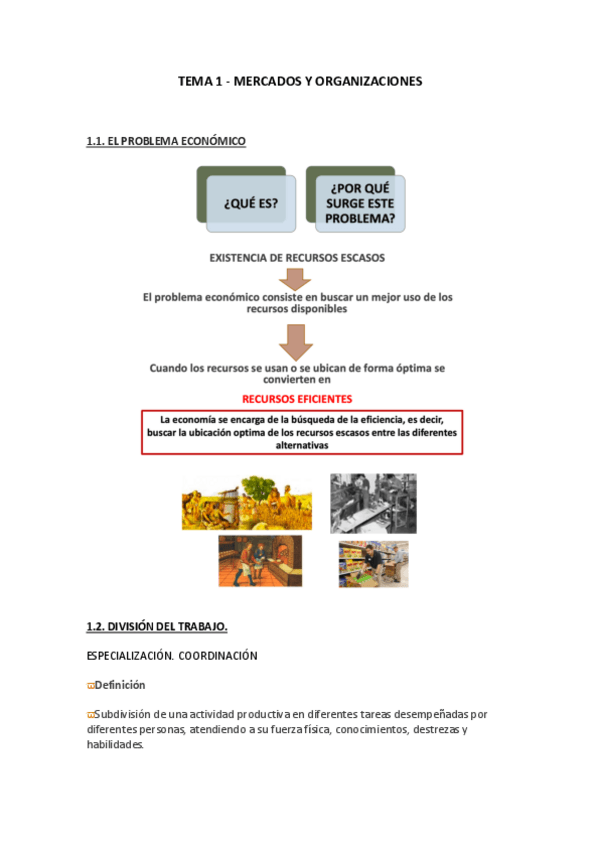 Miniatura del documento TEMA-1.pdf