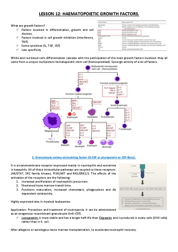 Miniatura del documento Lesson 12.pdf