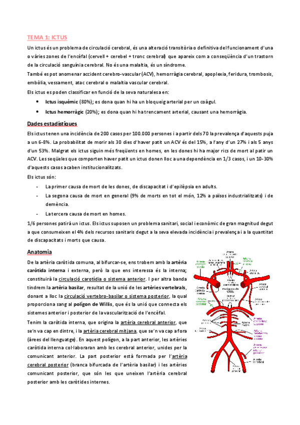 Miniatura del documento Malalties-neurodegeneratives-i-demencies-1r-parcial.pdf