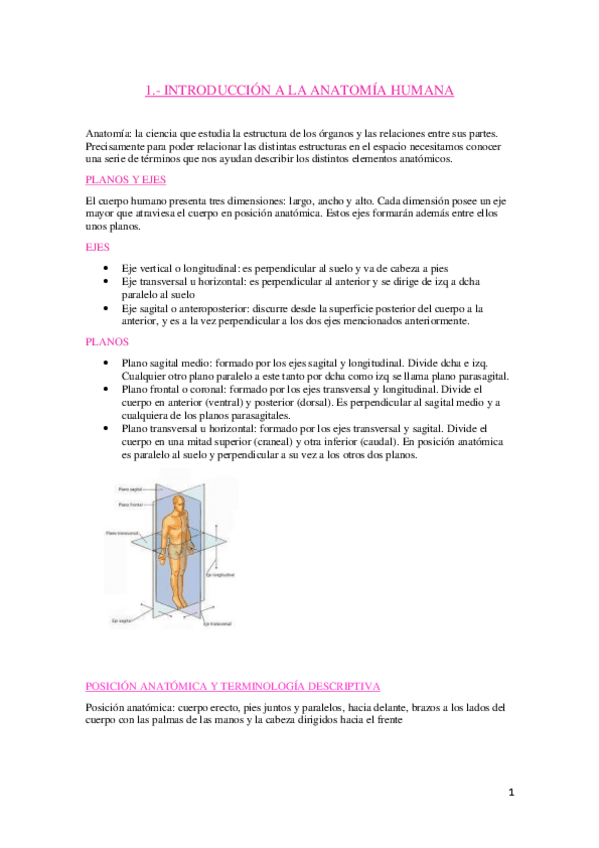 Miniatura del documento ANATOMIA-OSTEOLOGIA-.pdf