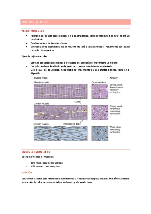 Miniatura del documento fisiologia-babio-word-1o-semestre.pdf