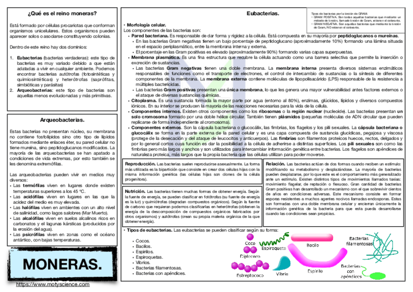 Miniatura del documento 18 Bacterias, reino moneras.pdf