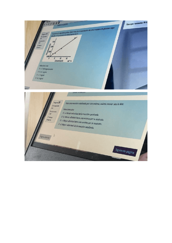 Miniatura del documento Nuevo-Documento-de-Microsoft-Word.docx