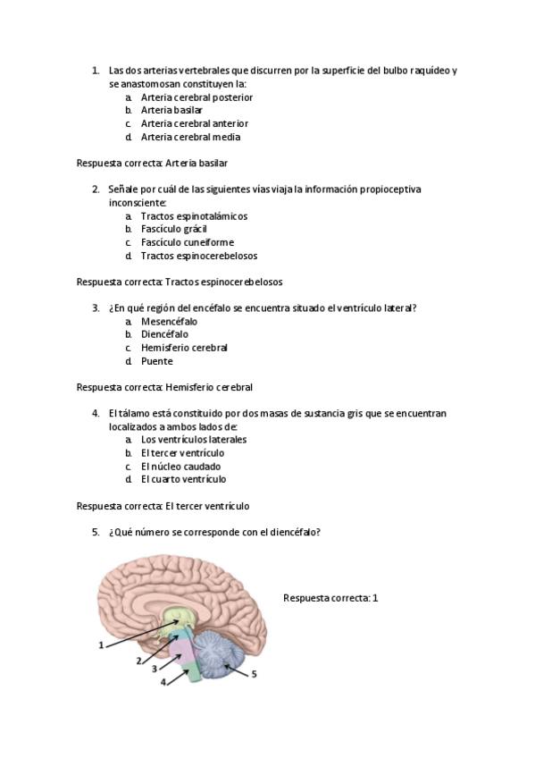 Miniatura del documento Examenes-anatomia-SN-Respiratorio-y-Cardiovascular.pdf