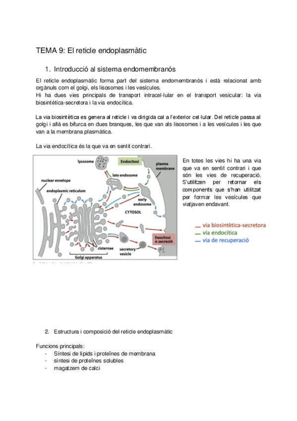 Miniatura del documento Biocel-tema-9.pdf