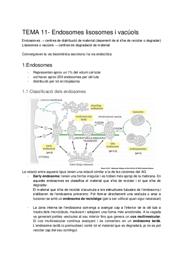 Miniatura del documento Biocel-tema-11.pdf